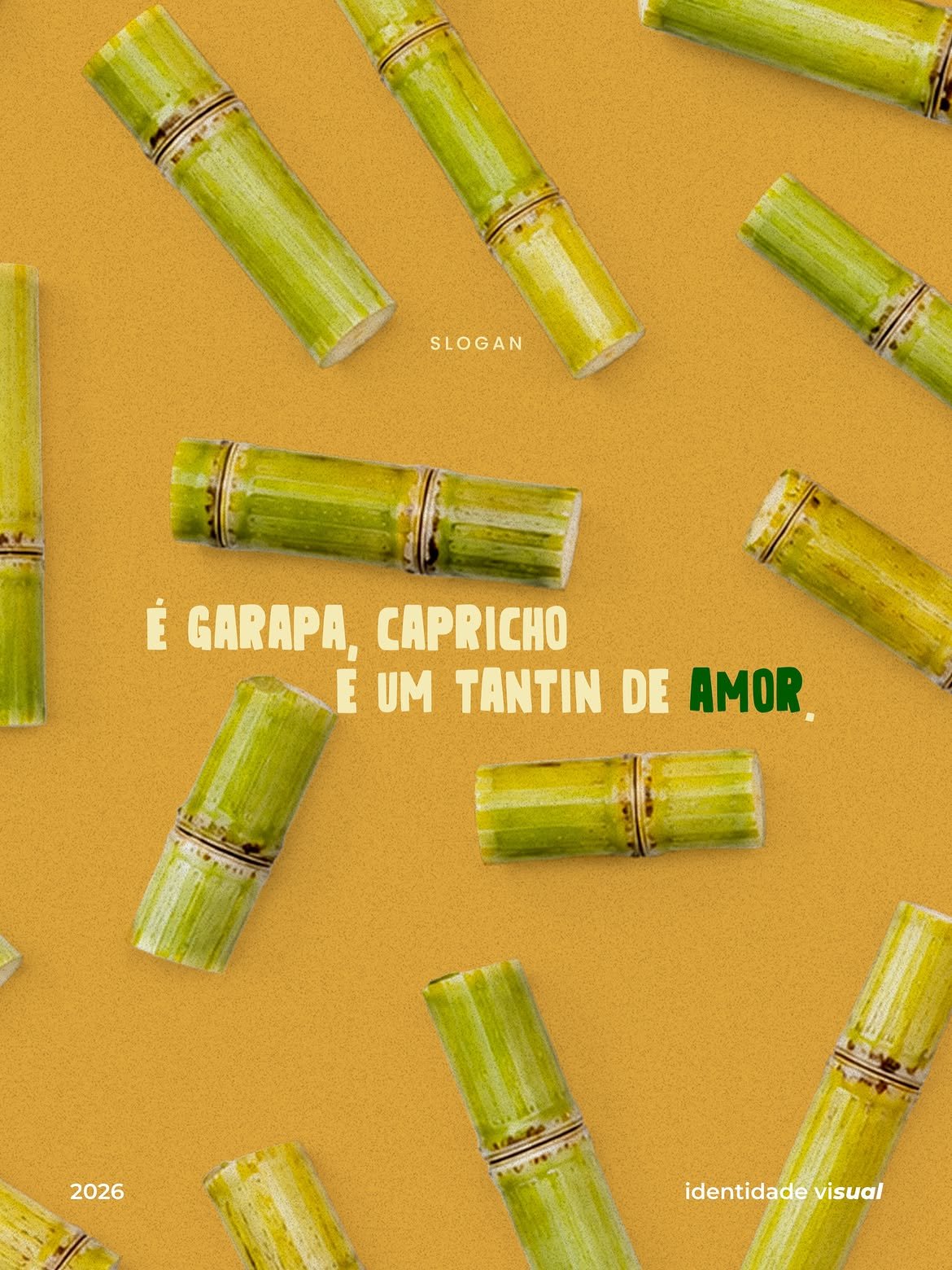 Identidade visual — tocos de cana